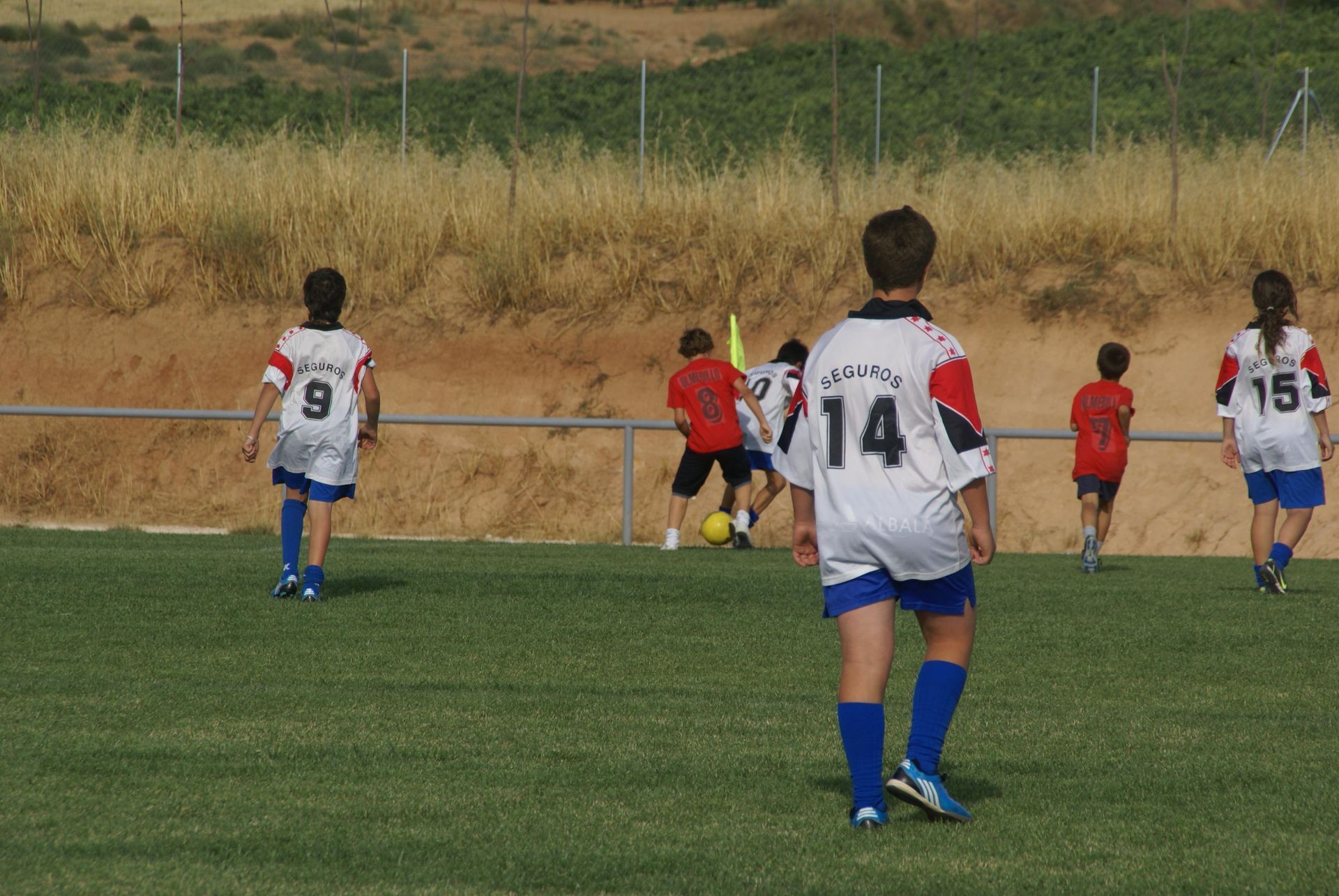 Verano cultural 2010
